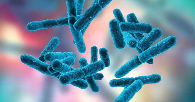 Alimenti ricchi di probiotici per la salute dell’intestino e non solo