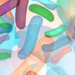 Probiotici: Beneficii de top, surse alimentare și suplimente