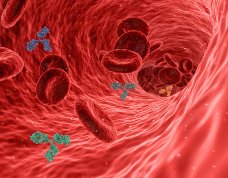 Le 10 migliori piante che aiutano a purificare il sangue e la linfa