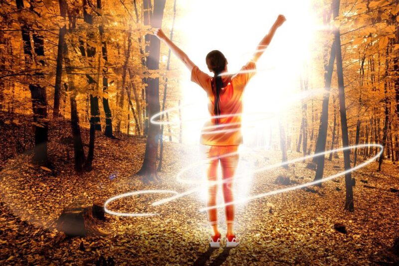 IL SEGRETO DELL’ENERGIA Qi NELLA MEDICINA TRADIZIONALE CINESE PER UNA VITA SANA