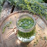Aqua di assenzio lasciata al sole: il rimedio antico per il fegato e i vermi intestinali (preparazione e consumo)
