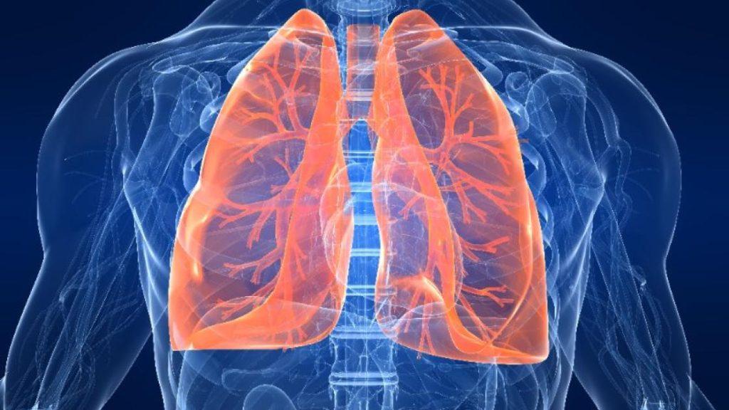 6 rimedi molto efficaci per polmoni più sani e più forti. Respirerai molto più facilmente