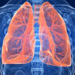 6 rimedi molto efficaci per polmoni più sani e più forti. Respirerai molto più facilmente