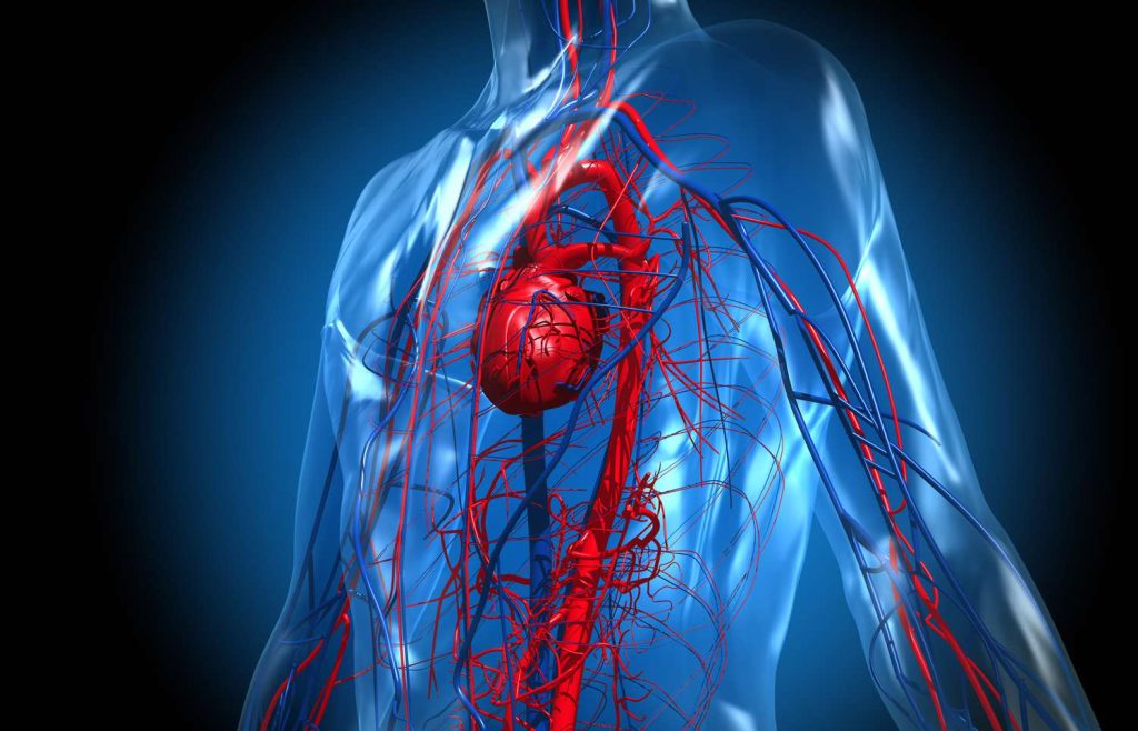 Rituale in tre fasi per la purificazione del sangue. Trattamento naturale delle malattie circolatorie creato da un famoso fitoterapeuta romeno con risultati straordinari