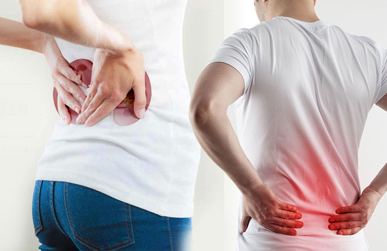 Rimedio antico per la cura dei reni molto efficace per la guarigione della cistite, la dissoluzione dei calcoli e l’eliminazione della sabbia