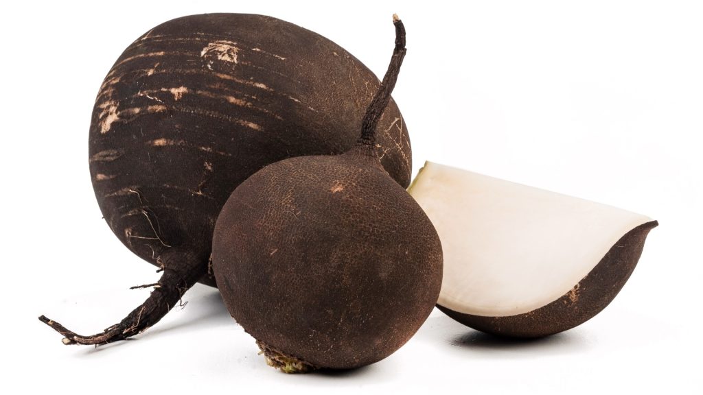 Il rafano nero è un potente rimedio utilizzato per insufficienza epatica, affezioni polmonari, tosse, reumatismi, gotta, artrite, asma, allergie, eczema e molto altro