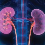 Cosa succede se bevi troppe infusioni diuretiche? Avvertenze dai medici e cosa dicono gli studi recenti