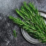 Come preparare correttamente l’infusione di rosmarino per la memoria: ricetta approvata da fitoterapeuti