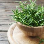 Rosmarino: un condimento speciale e un antico rimedio in medicina naturale