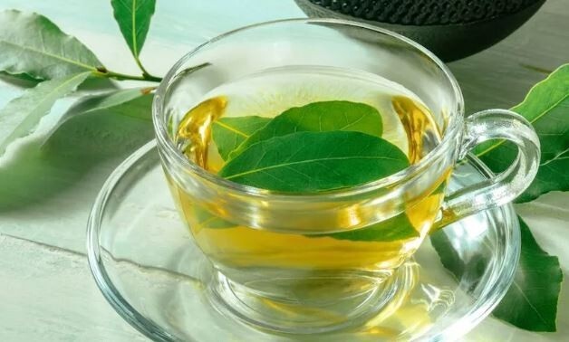 Come preparare correttamente il tè di foglie di alloro e quando evitarlo