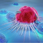Alimenti che combattono il cancro: cosa dicono gli studi 2023-2025