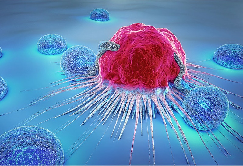 Alimenti che combattono il cancro: cosa dicono gli studi 2023-2025