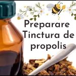 Come preparare correttamente una tintura di propoli a casa e a cosa serve (modo di consumo)