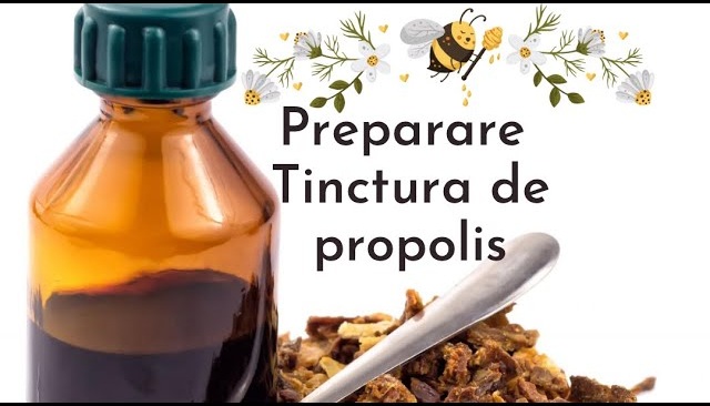 Come preparare correttamente una tintura di propoli a casa e a cosa serve (modo di consumo)