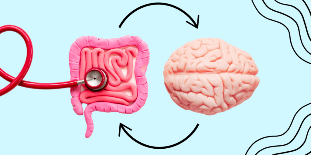 Come influisce lo stress sulla flora intestinale e quali piante la rigenerano