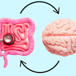 Come influisce lo stress sulla flora intestinale e quali piante la rigenerano