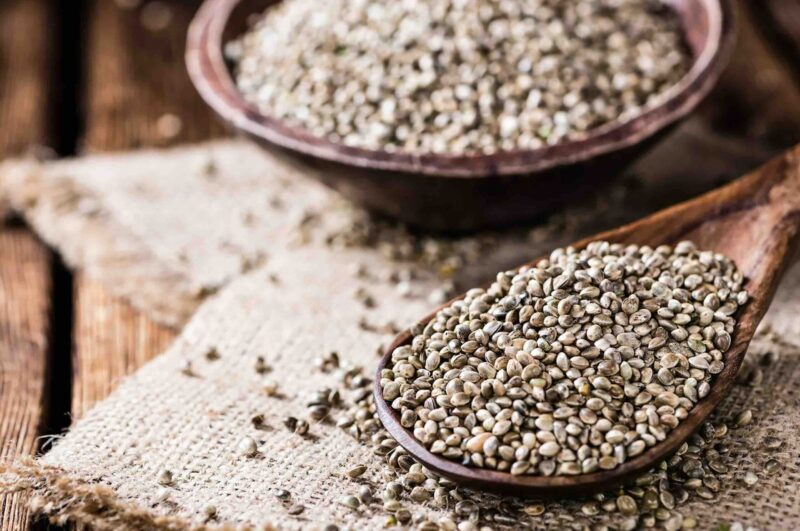 Semi di canapa: alimento completo per salute e energia