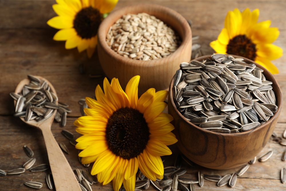 Semi di girasole molto ricchi di vitamine e minerali!