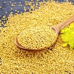 I semi di senape apportano un valore aggiunto a diverse preparazioni, ma sapevi che sono un rimedio naturale per molte affezioni?