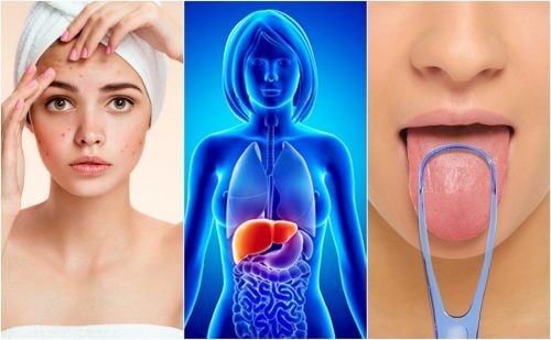 17 segni che il tuo fegato è sovraccarico e ha bisogno di disintossicazione: soluzioni naturali