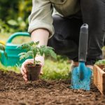 Giardinaggio: il miglior esercizio per corpo e mente