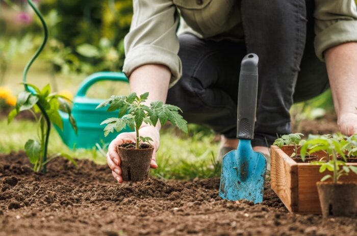 Giardinaggio: il miglior esercizio per corpo e mente