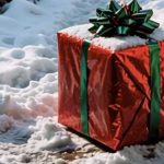 HO TROVATO UN REGALO SULLA PORTA PER NATALE