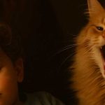 Il gatto fischiava in modo strano ogni notte alla bambina