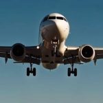 Gli uccelli hanno circondato improvvisamente l’aereo