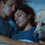 Di notte, il nostro cane è entrato lentamente nella stanza