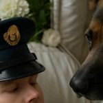 Il cane non smetteva di abbaiare davanti alla bara, quando si è verificato un miracolo che nessuno poteva immaginare