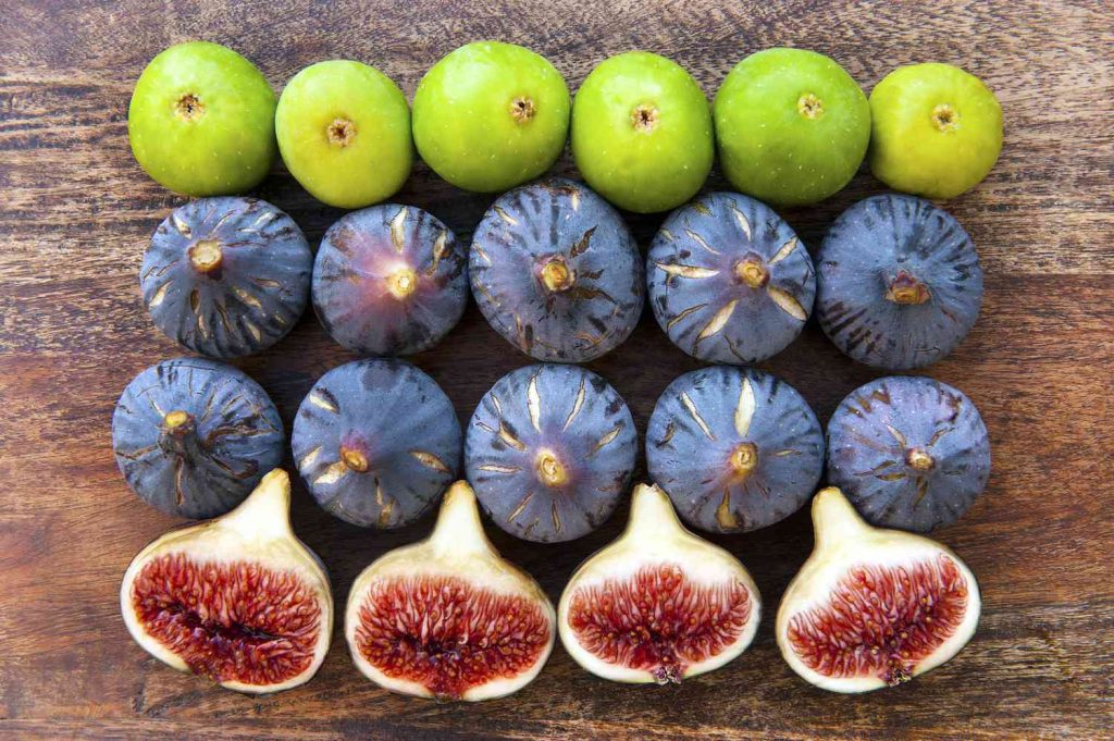 Le fichi hanno molte potenti proprietà medicinali, sia che siano freschi che secchi