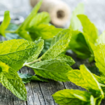 Cosa succede quando si sfregano le tempie con foglie di menta fresca