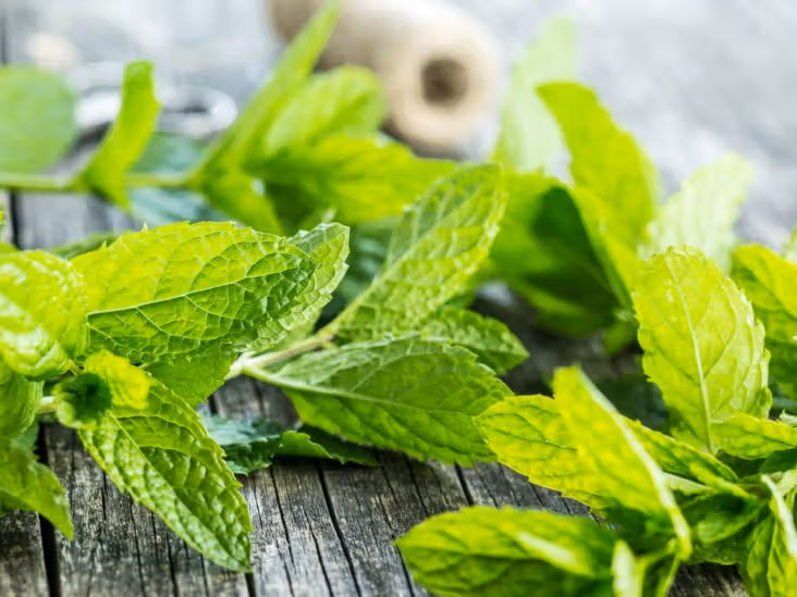 Cosa succede quando si sfregano le tempie con foglie di menta fresca