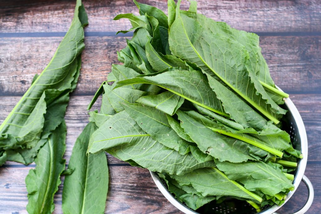Stevia: una pianta straordinaria con qualità medicinali notevoli
