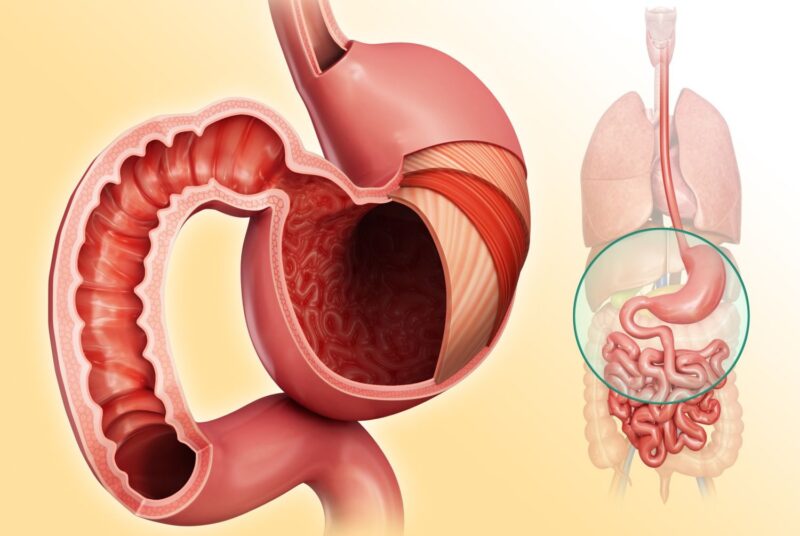 Come fare correttamente una cura di piante per la digestione senza effetti avversi