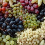 Uva è straordinaria per l’organismo e ha molte proprietà medicinali