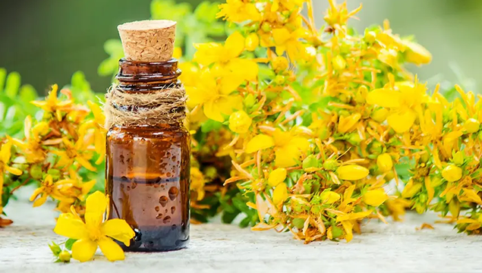 Come fare in casa l’olio di iperico per la pelle e il sistema nervoso