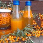Succo di olivello spinoso: benefici e modalità di preparazione