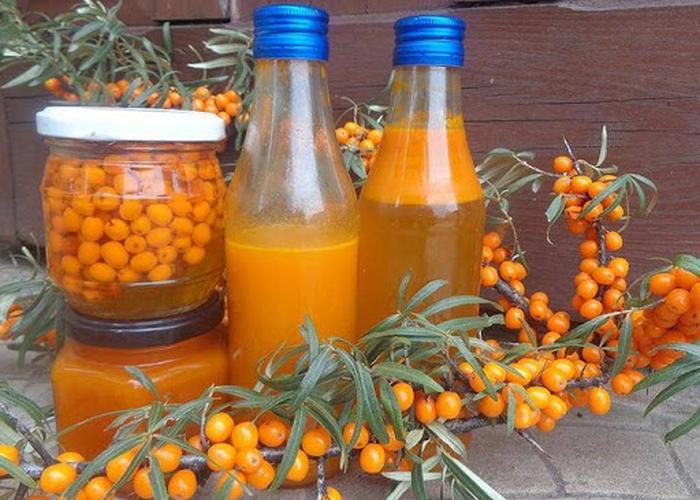 Succo di olivello spinoso: benefici e modalità di preparazione