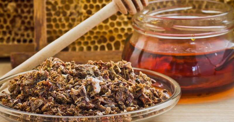 Tintura di propoli: ricetta e benefici dimostrati scientificamente