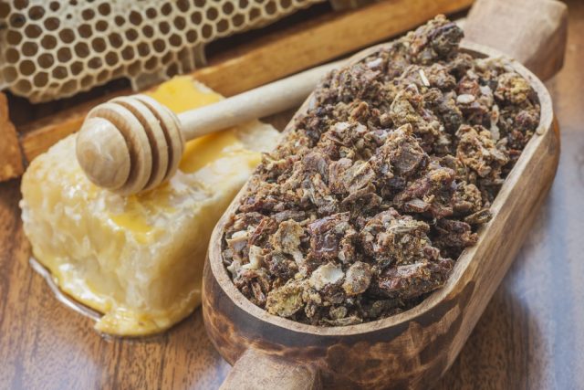 Tintura di propoli: effetti straordinari per la salute, ricetta e modalità d’uso