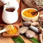 Top 7 delle piante medicinali più utilizzate e i loro benefici