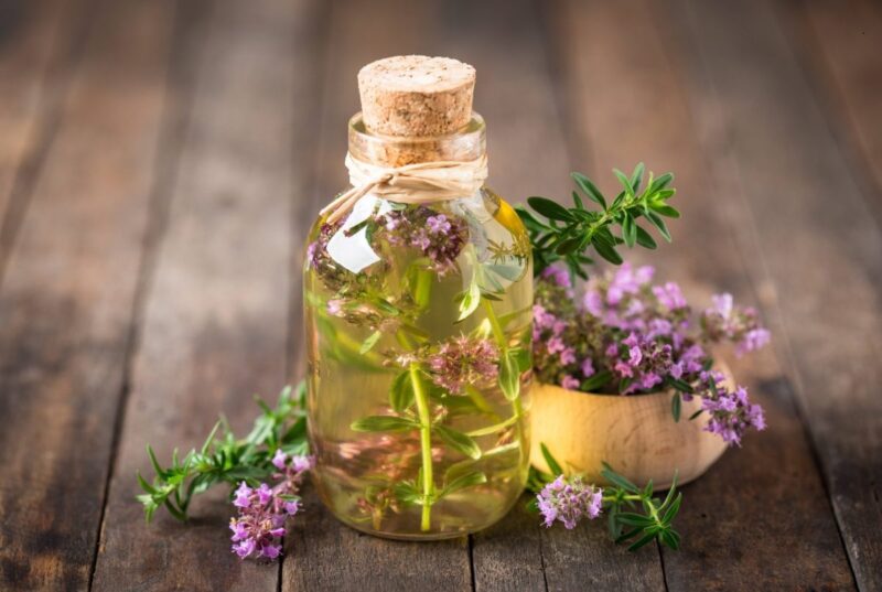 Olio di timo: ricetta, come si applica e a quali problemi aiuta