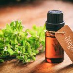 Olio di origano: un rimedio naturale estremamente potente (benefici, modalità di preparazione e consumo)