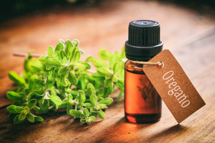 Olio di origano: un rimedio naturale estremamente potente (benefici, modalità di preparazione e consumo)