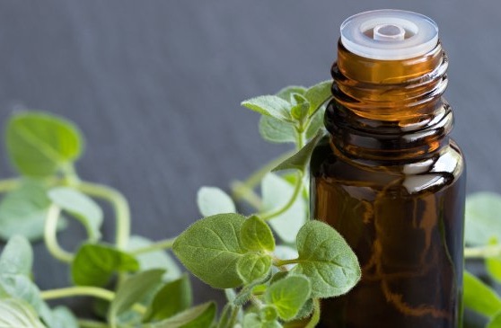 Il rimedio miracoloso del Dr. Oz: olio di origano, antibiotico naturale ad effetto rapido