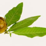 Olio di canfora per la salute della pelle, riduzione del dolore e molto altro