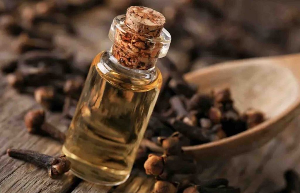 Olio di chiodi di garofano: il segreto delle farmacie orientali per dolori e immunità, come prepararlo a casa