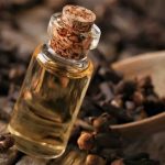 Olio di chiodi di garofano: il segreto delle farmacie orientali per dolori e immunità, come prepararlo a casa